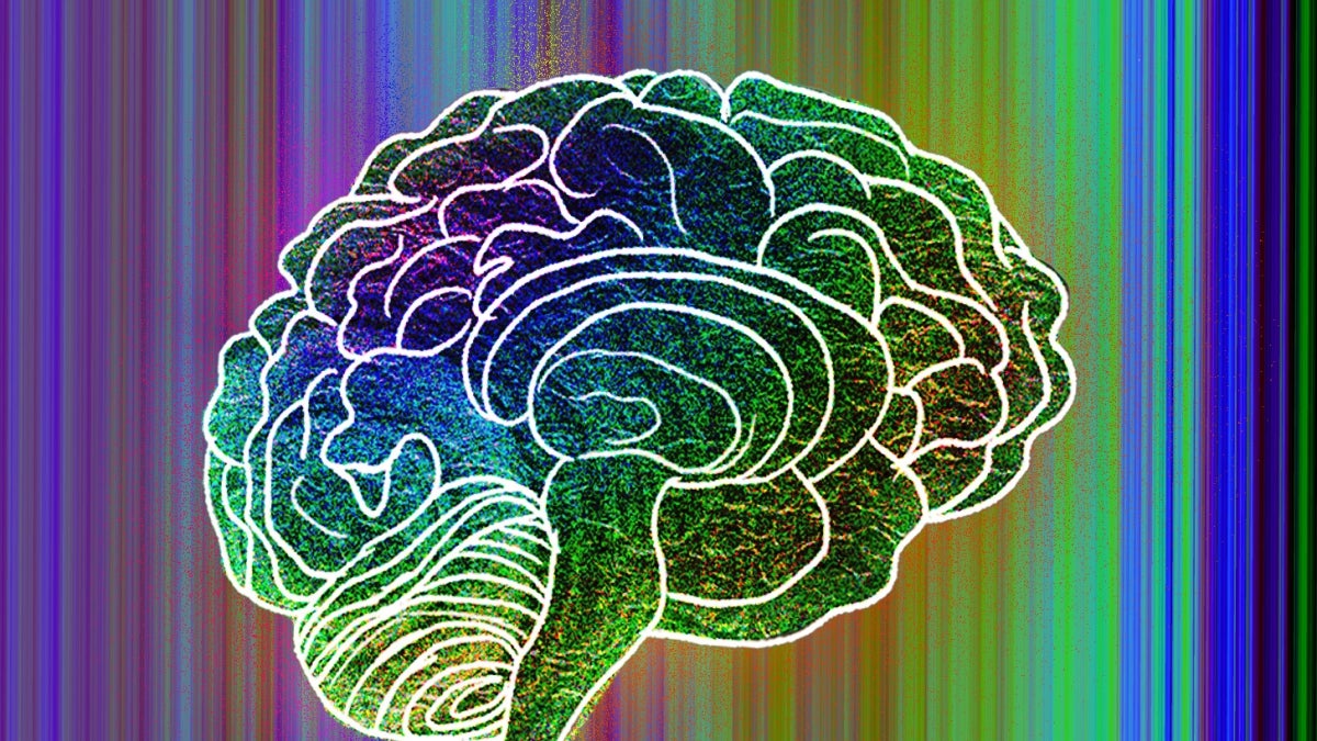 A colorful illustration of the brain.