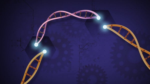 An illustration of the gene editing technology CRISPR cutting a DNA strand
